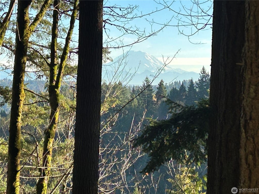 Squak Mountain Residence in Issaquah, gallery image 2